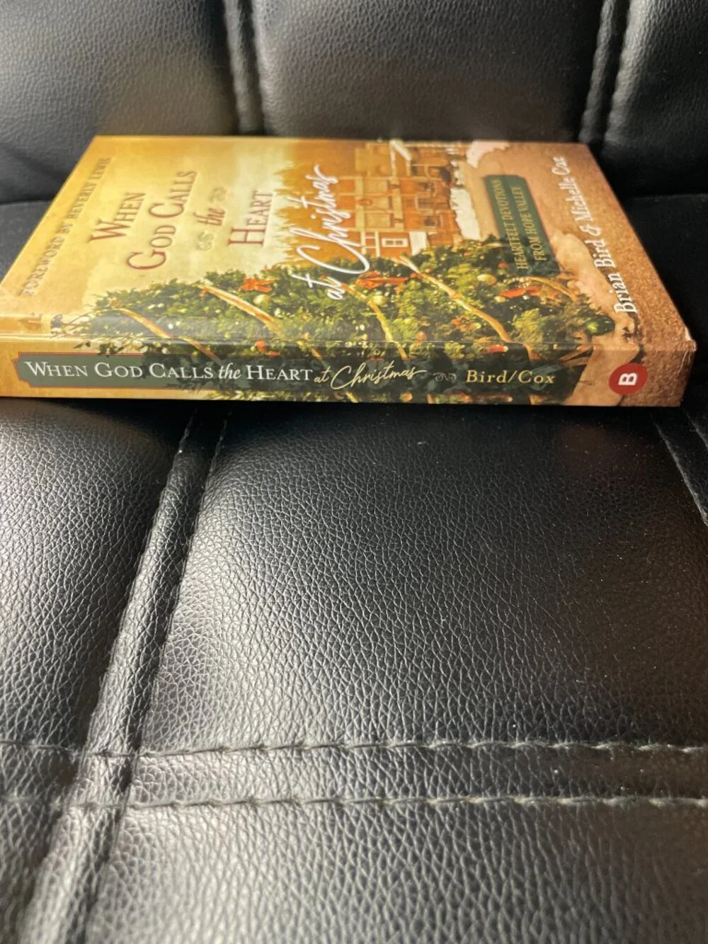 When God Calls the Heart at Christmas: Heartfelt Devotions from Hope Valley